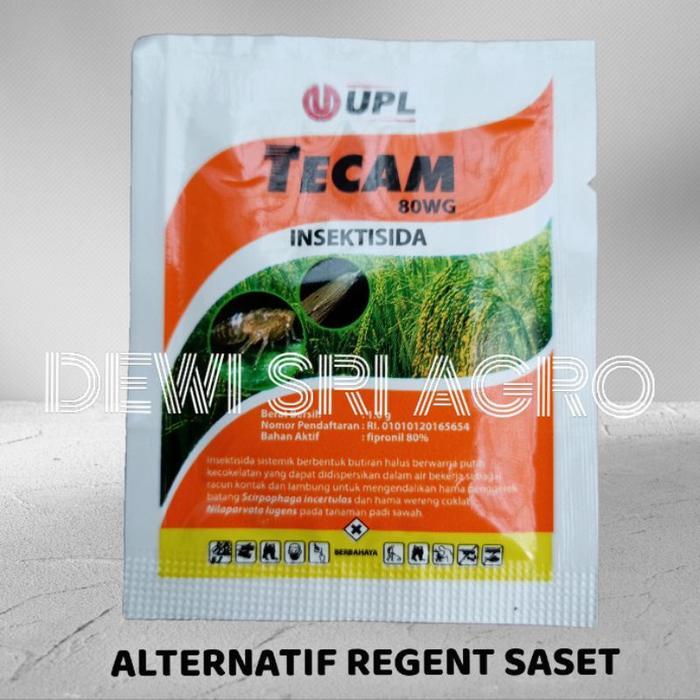 PENGGANTI REGENT SASET TECAM 80 WG