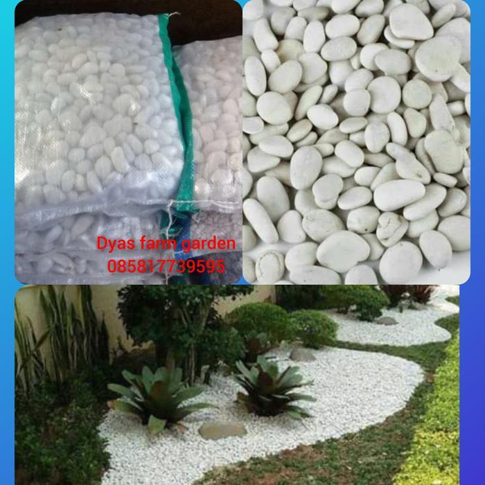 batu penghias taman/batu kupang putih