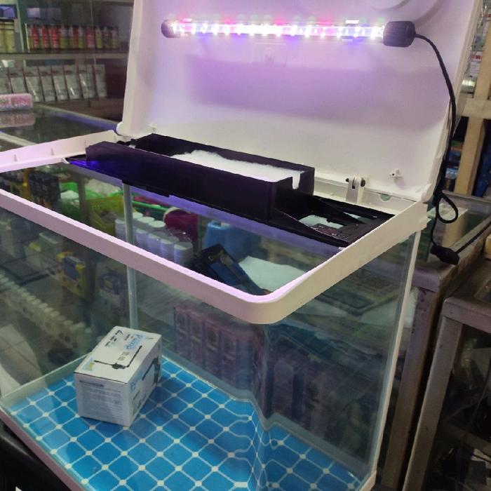 Aquarium Bending Full set 80cm (incl Lampu + Filter)
