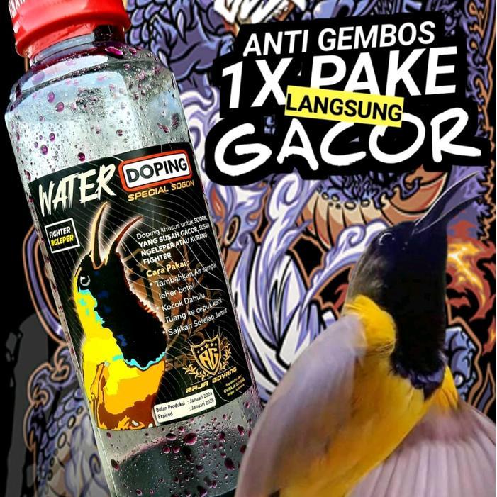 WATER DOPING SOGON/DOPING BURUNG SOGON/DOPING BURUNG SOGON/DOPING BURUNG KONIN/HIPER/DEXTRO
