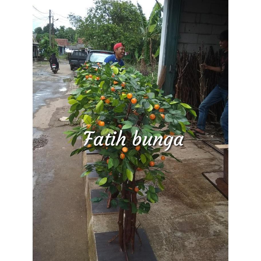 pohon jeruk/pohon hias/pohon plastik