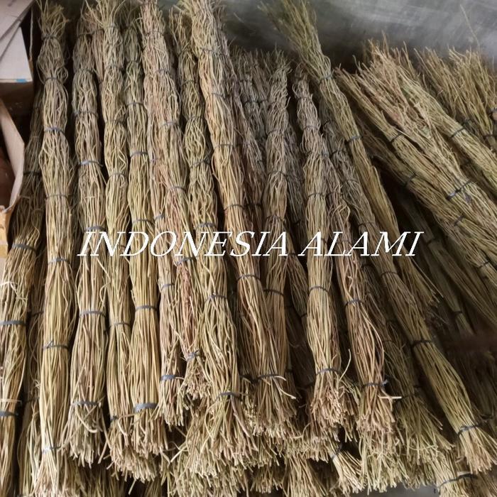 News 1 ikat Akar Manon 100 Batang/akar manon/ akar Manon dekorasi/ akar rustic Dekorasi Dinding