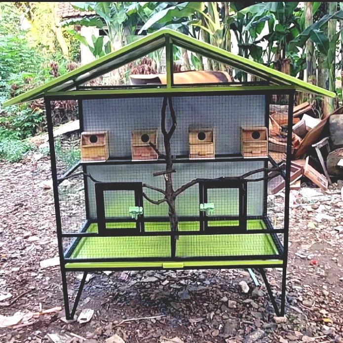 Sangkar Kandang Umbaran Ternak Burung Koloni Besi Lovebird Kacer Anis Perkutut Parkit