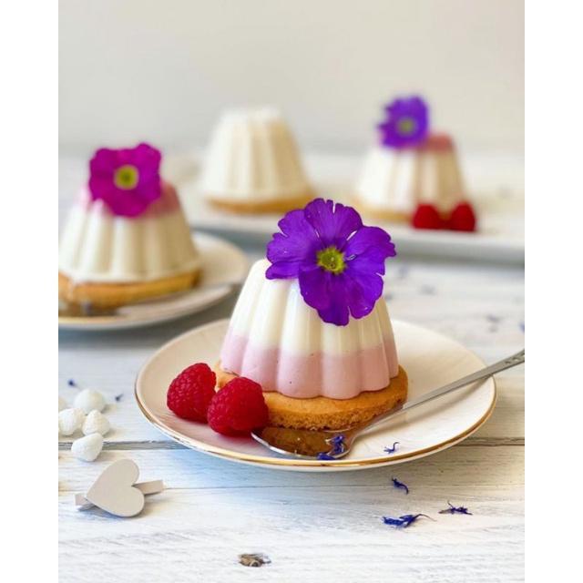 Terlaris Cup Jelly 0951 isi 12pcs / Cetakan Green Leaf 0951 / Cetakan Puding Jelly Plastik SALE