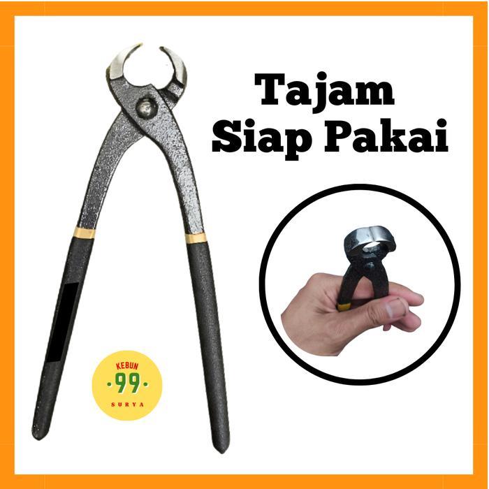 Catok Bonsai Tajam Siap Pakai Catut Gegep Bonsai