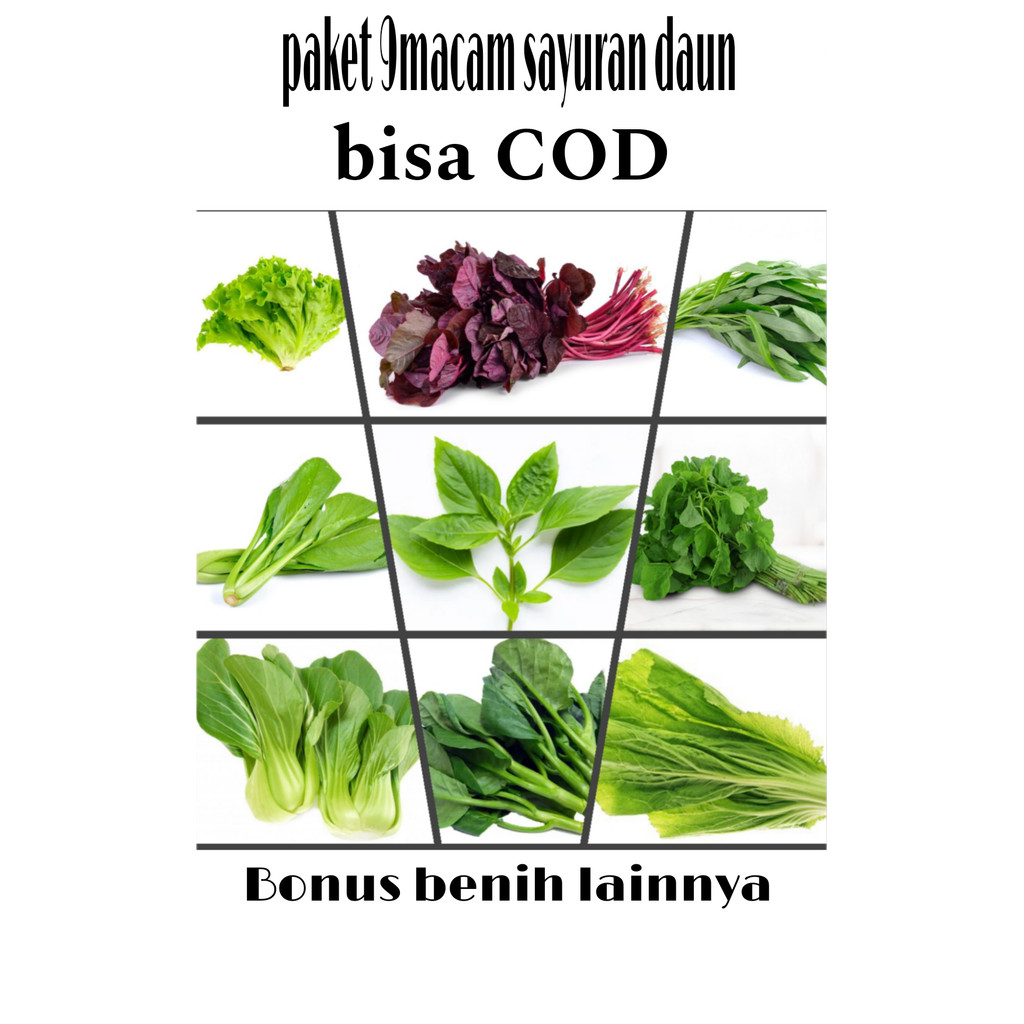 paket 9macam benih sayuran lengkap / bibit sayuran daun bisa cod