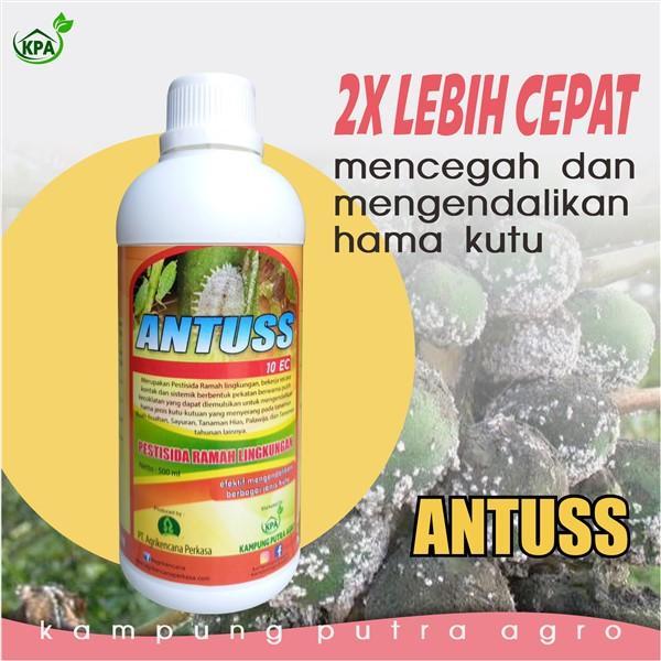 Pestisida pembasmi kutu kebul pada tanaman - Antuss