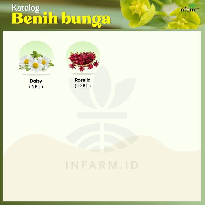 INFARM - BIBIT TANAMAN SAYUR BUAH BUNGA MEDIA TANAM ROCKWOOL PUPUK AB MIX PAKET ROBIN INFARM AB MIX
