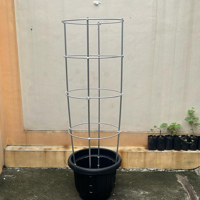 Tiang Rambatan tabulampot anggur