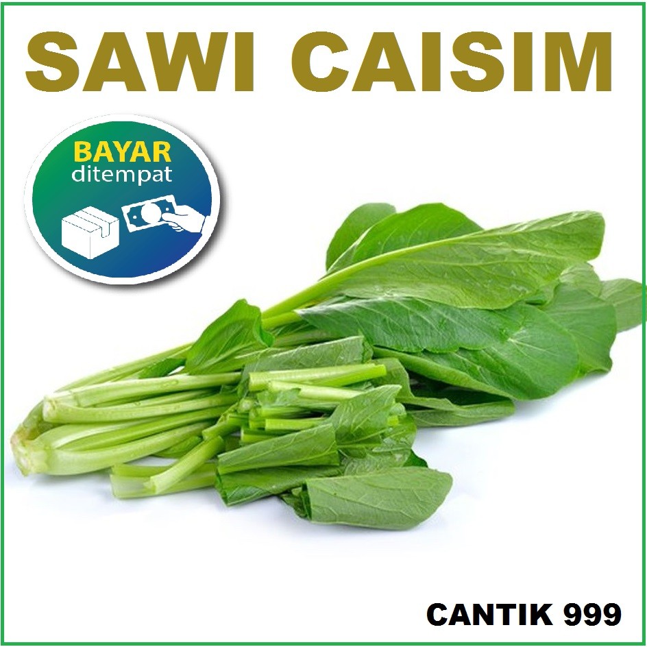 SAWI CAISIM - 250pcs - biji / bibit / benih SAWI CAISIM / SAWI CAISIM MANIS - seed sayur / bibit