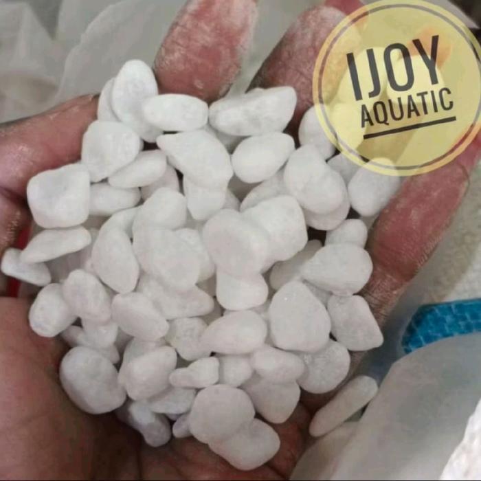 Batu PUTIH SALJU batu hiasan akuarium 500gr