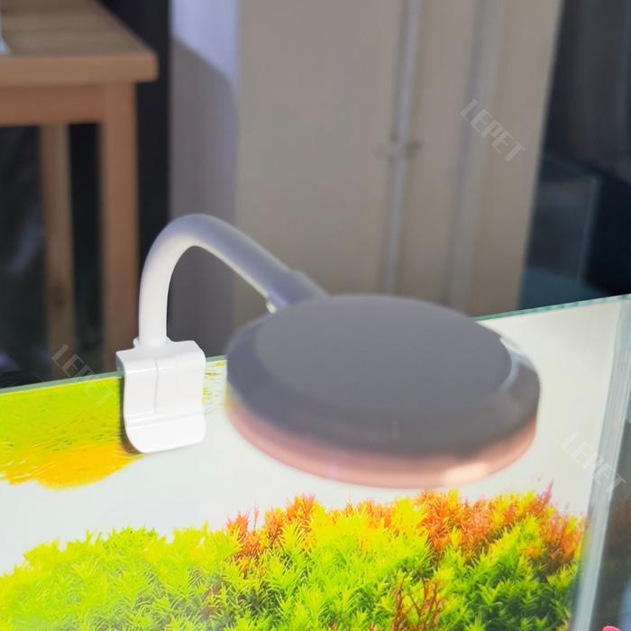 SBT AQUARIUM PAKET 30 CM / AQUARIUM MELENGKUNG / AQUASCAPE / AQUARIUM BENING