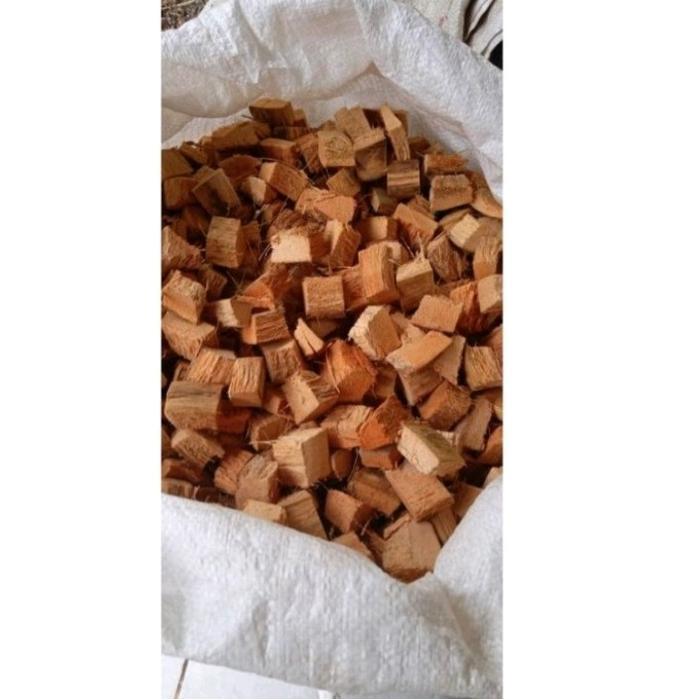 Cocochip media tanam anggrek dan alas reptil cocochip