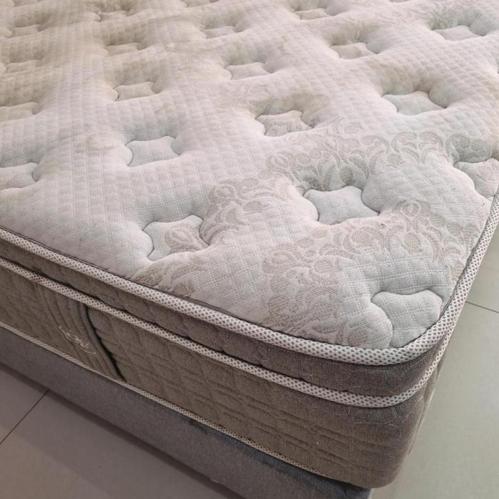 Springbed Central Cordovan