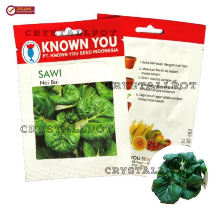 NEWs Benih Bibit Sawi Pakcoy Nai Bai Known You Seed - KYS SAWI PAKCOY NAI BAI