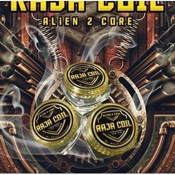 RAJA DUAL COIL ALIEN 0.18 - 0.2 OHM BY JEFF DISTRIBUTION