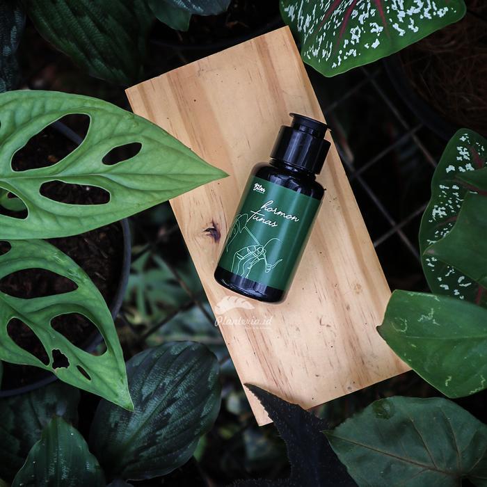 SALE Hormon Tunas Tanaman Penumbuh Tunas Aglonema Termurah