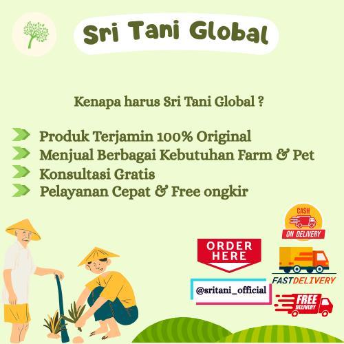 MULTIVITAMIN 100 GR - PENAMBAHAN NAFSU MAKAN SAPI - JAMU NAFSU MAKAN