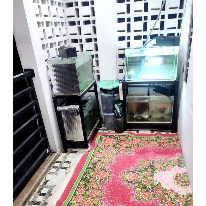 CUCI GUDANG (BORONGAN AQUARIUM BEKAS) 2 Rak 4 aquarium size Panjang 60, lebar 30, tinggi 35