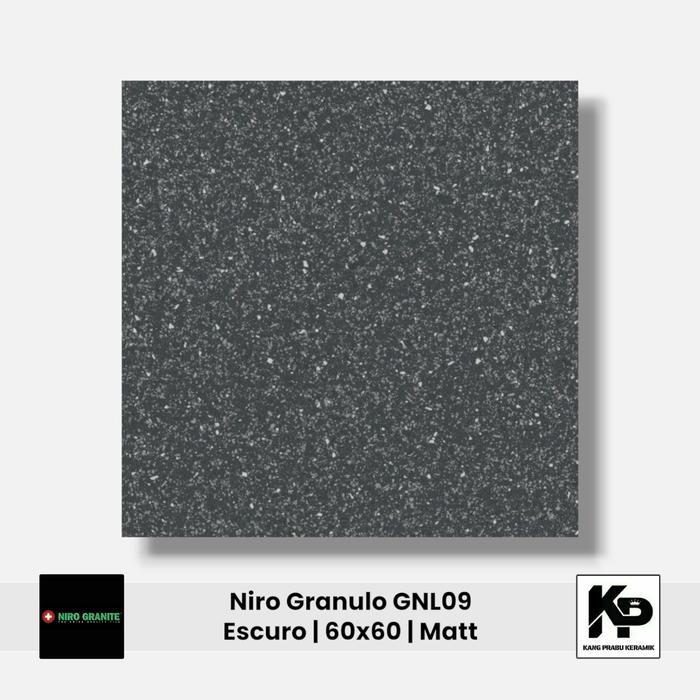 Granit NIRO GRANITE Granulo GNL09 Escuro 60x60 Cm