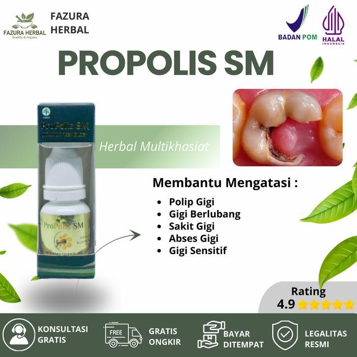 GIRLDAY- Herbal Tetes Untuk Polip Gigi, Gigi Berlubang Bau , Sakit Gigi, Abses Gigi Dan Gusi