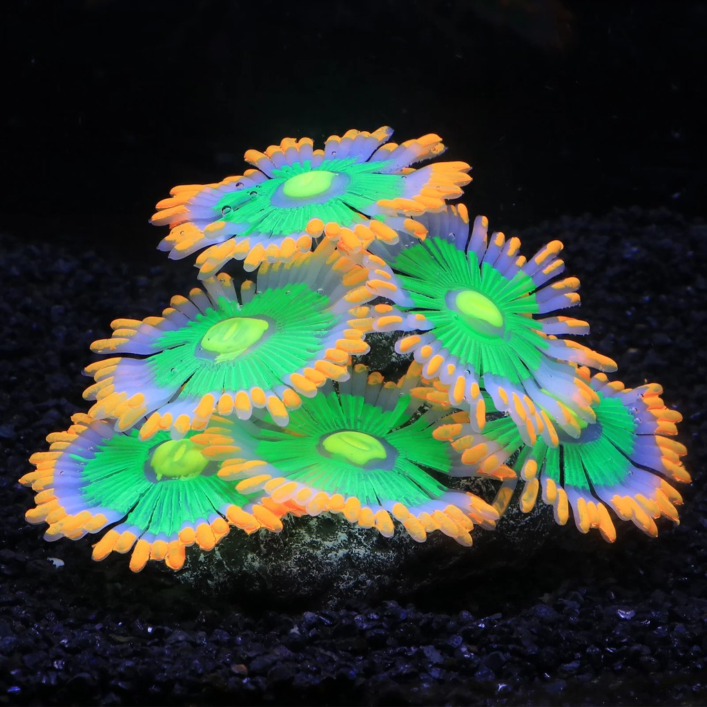 Soft Silicone Aquarium Coral, Aquarium Coral Decorations Artificial Ornament for Fish Tank