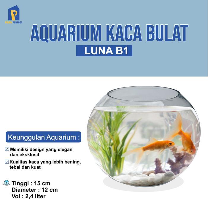 AQUARIUM Bulat Kaca Luna B-1 2.4 Liter / Wadah Ikan CUPANG