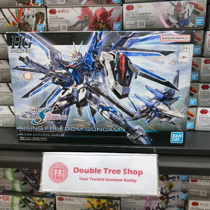 HG 1/144 Rising Freedom Gundam