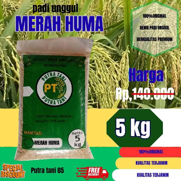 BENIH PADI /BIBIT PADI (MERAH HUMA )PREMIUM/ KEMASAN 5KG/ BENIH PADI UNGGUL BERKUALITAS PREMIUM