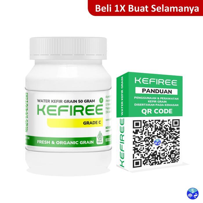 Water Kefir Grain Alga Kristal Alga Jepang Tibicos Kefiree Bibit Water Kefir Grade C 50 Gram