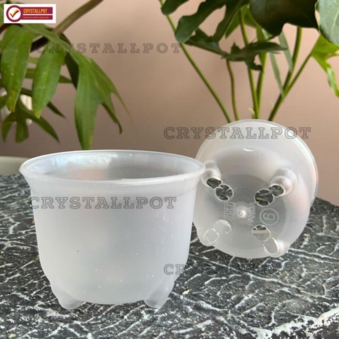 pot bunga tanaman mini nkt panda 06 bening transparan 6cm - nkt mini