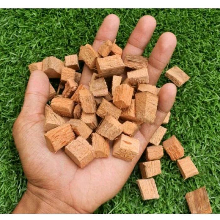 Cocochip Media Tanam Dan Alas Reptil Cocochip Tanpa Kulit