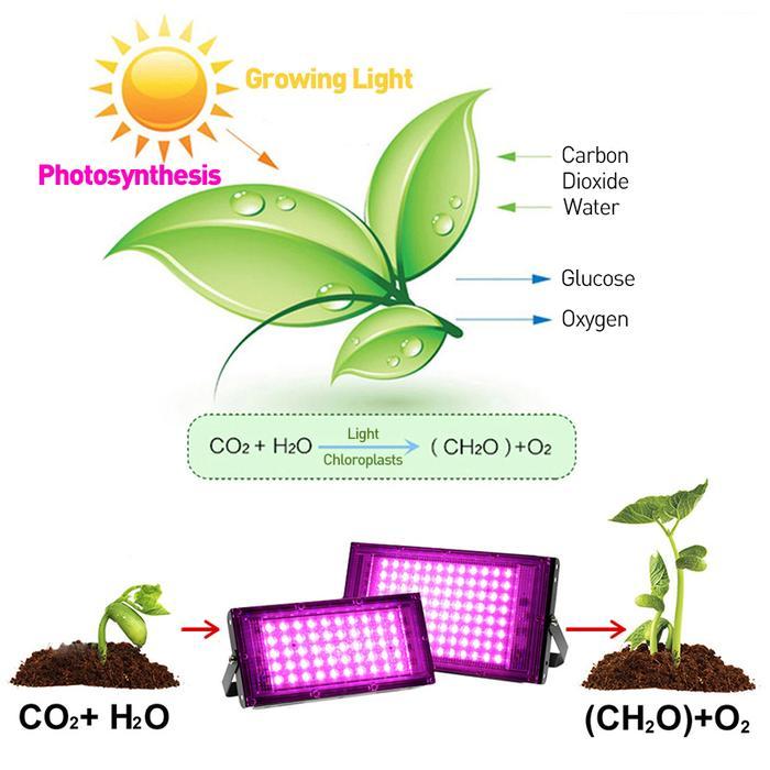 News 50w / 100w LED tumbuh lampu tanaman UV lampu tanaman hidrokultur dan akuarium tanaman spektrum