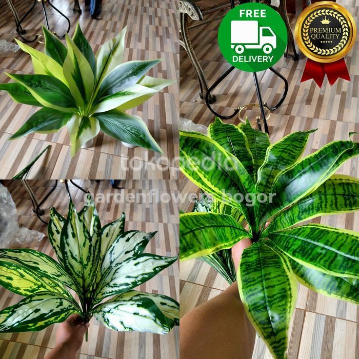 tanaman lidah mertua artificial