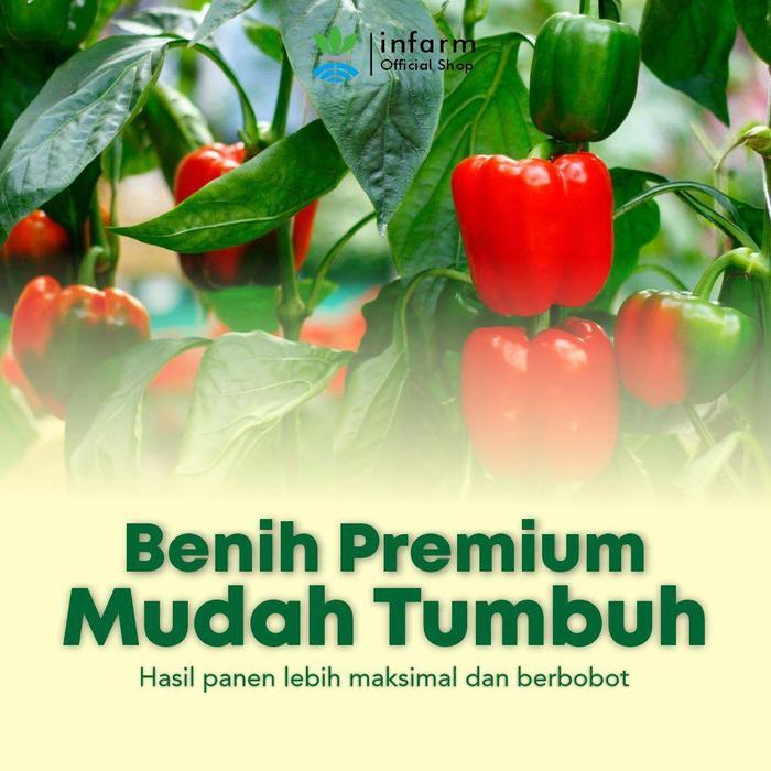 INFARM - Benih Unggul Paprika Merah Benih Buah Tanaman Benih Bibit Paprika Merah Benih Paprika Benih