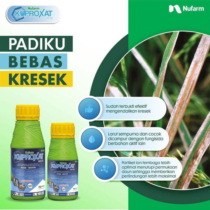 Fungisida Bakterisida Kuproxat 345 SC 500 ml Pengendali Kresek Padi