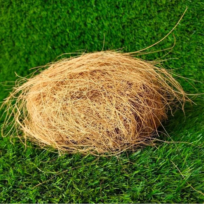 Coco Fiber Sabut Kelapa Serabut Kelapa Ijuk Kelapa 1 Kilo