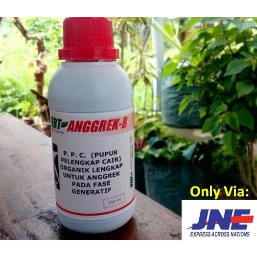 Ornafert-B Pupuk Cair Organik Untuk Perkembangan Bunga Anggrek Tanaman