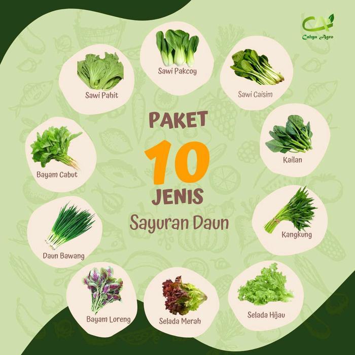 Paket 10 Jenis Benih Bibit Sayuran Daun