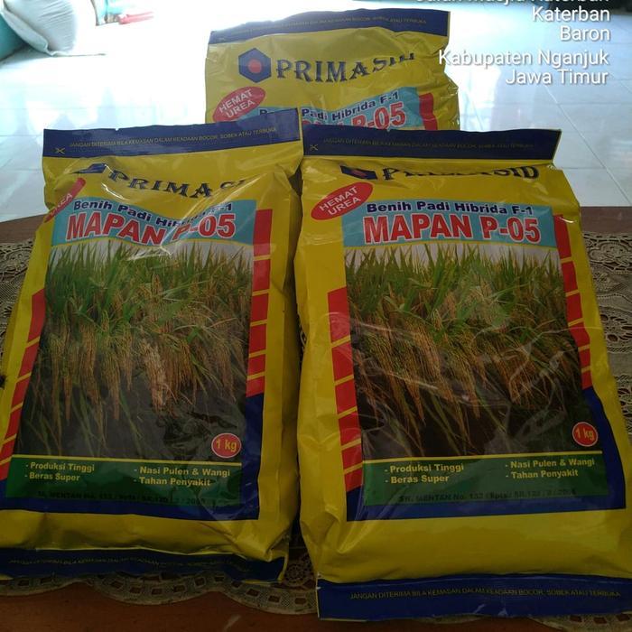 Benih padi mapan 05