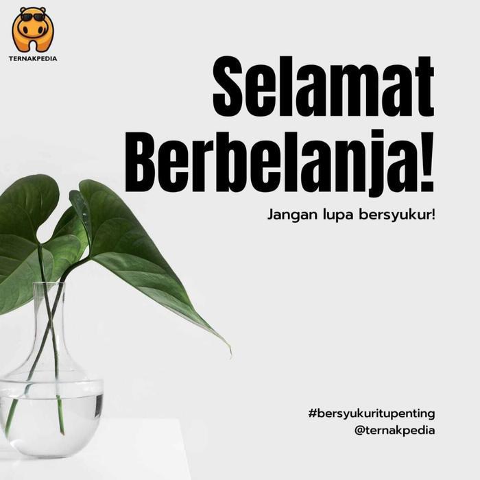 OBAT AYAM MENCRET - OBAT AYAM MENCRET BUBUK - OBAT MENCRET KAMBING