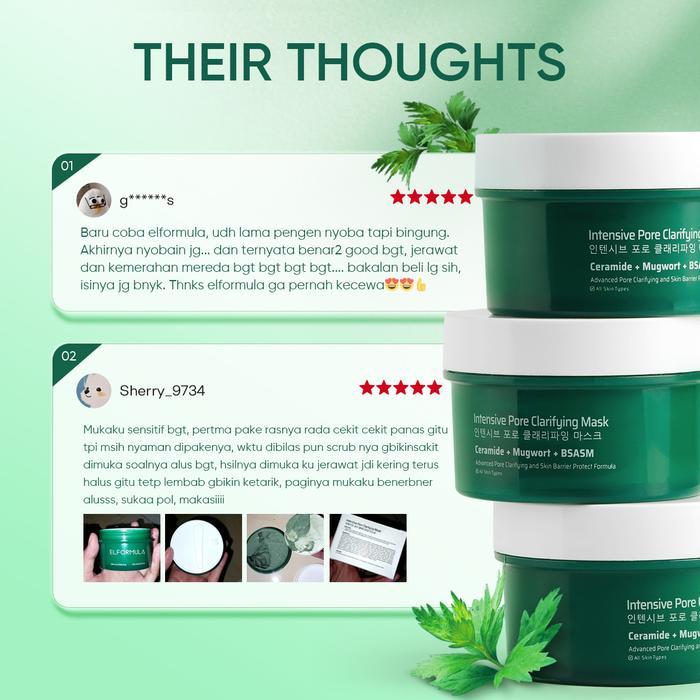 tsuw- Elformula Intensive Pore Clarifying Mugwort Mask - Clay Mask Mud Mask Acne Masker