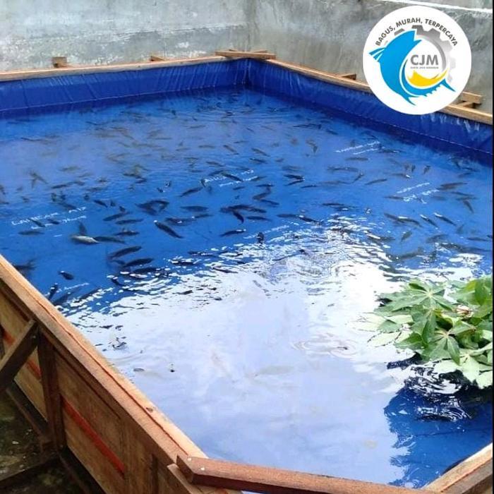 Terpal Plastik 100% Korea A12 Terpal Kolam 2x2x1 meter