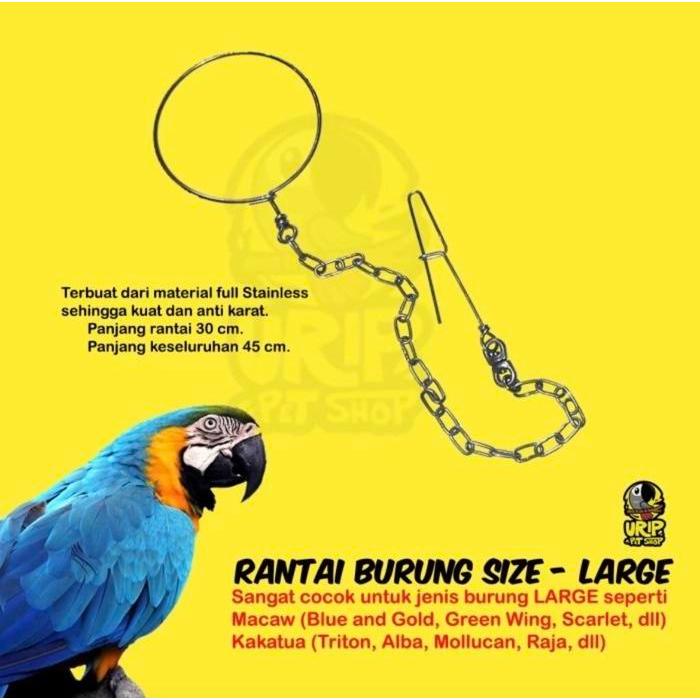 Rantai Burung Stainless Sunconure Nuri Kakaktua Macaw