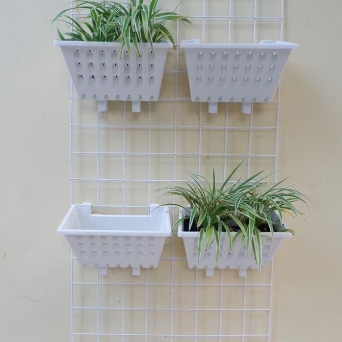 Ram Besi Putih Pot Gantungan Argo +1Pcs Argo