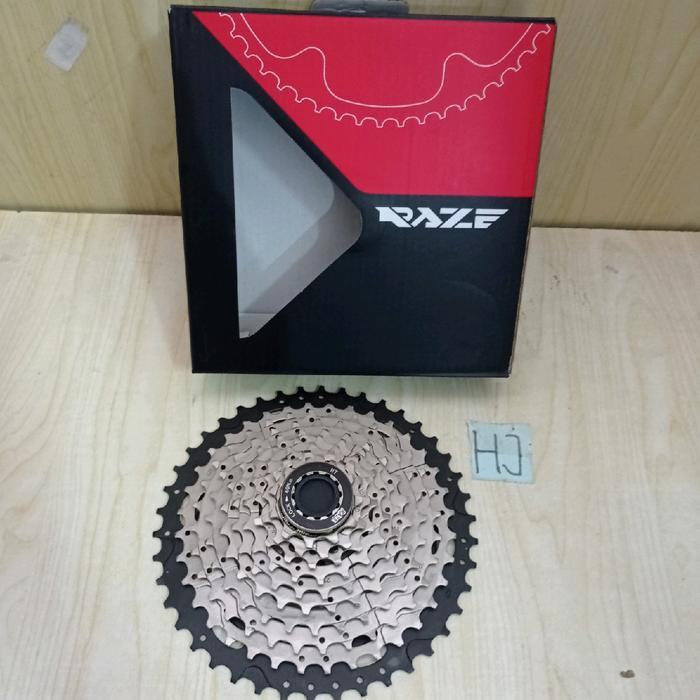 Sprocket Raze 10 Speed 42T 11-42T