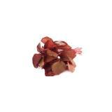 Paket Hemat Benih-Bibit Eceran (Sayuran dan Buah)