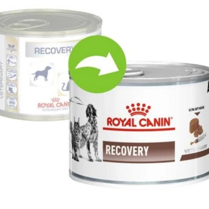 royal canin recovery wet food
