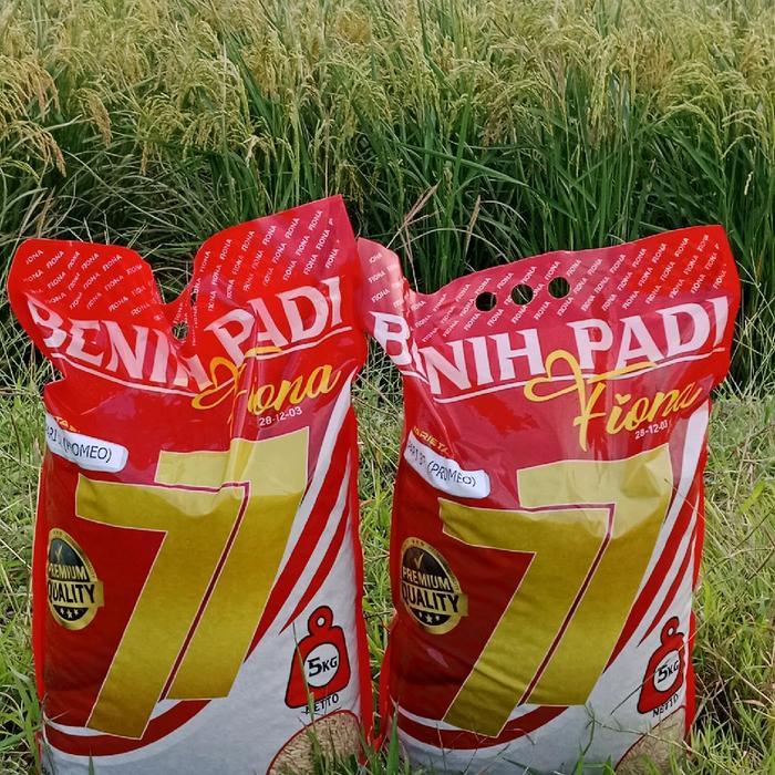Benih PADI INPARI 32 PROMEO 5 KG