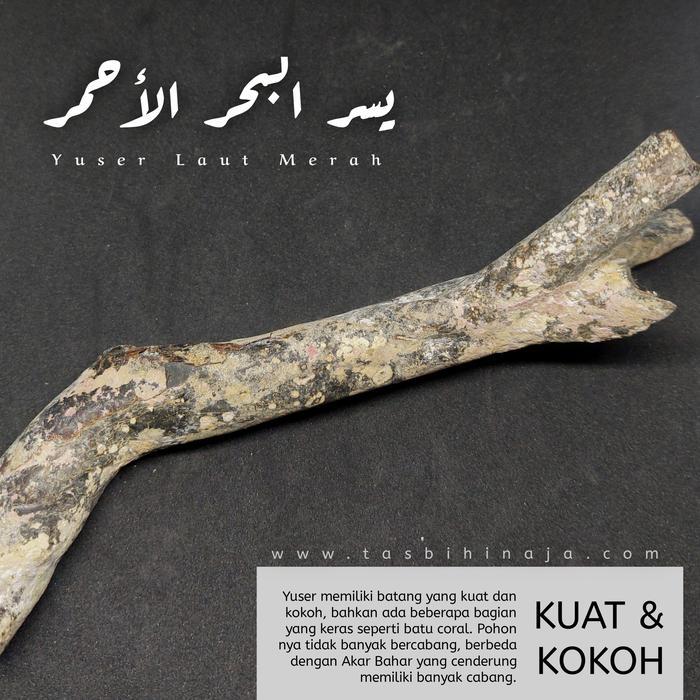 [ MESIR] TASBIH KAYU YUSER LAUT MERAH BULAT